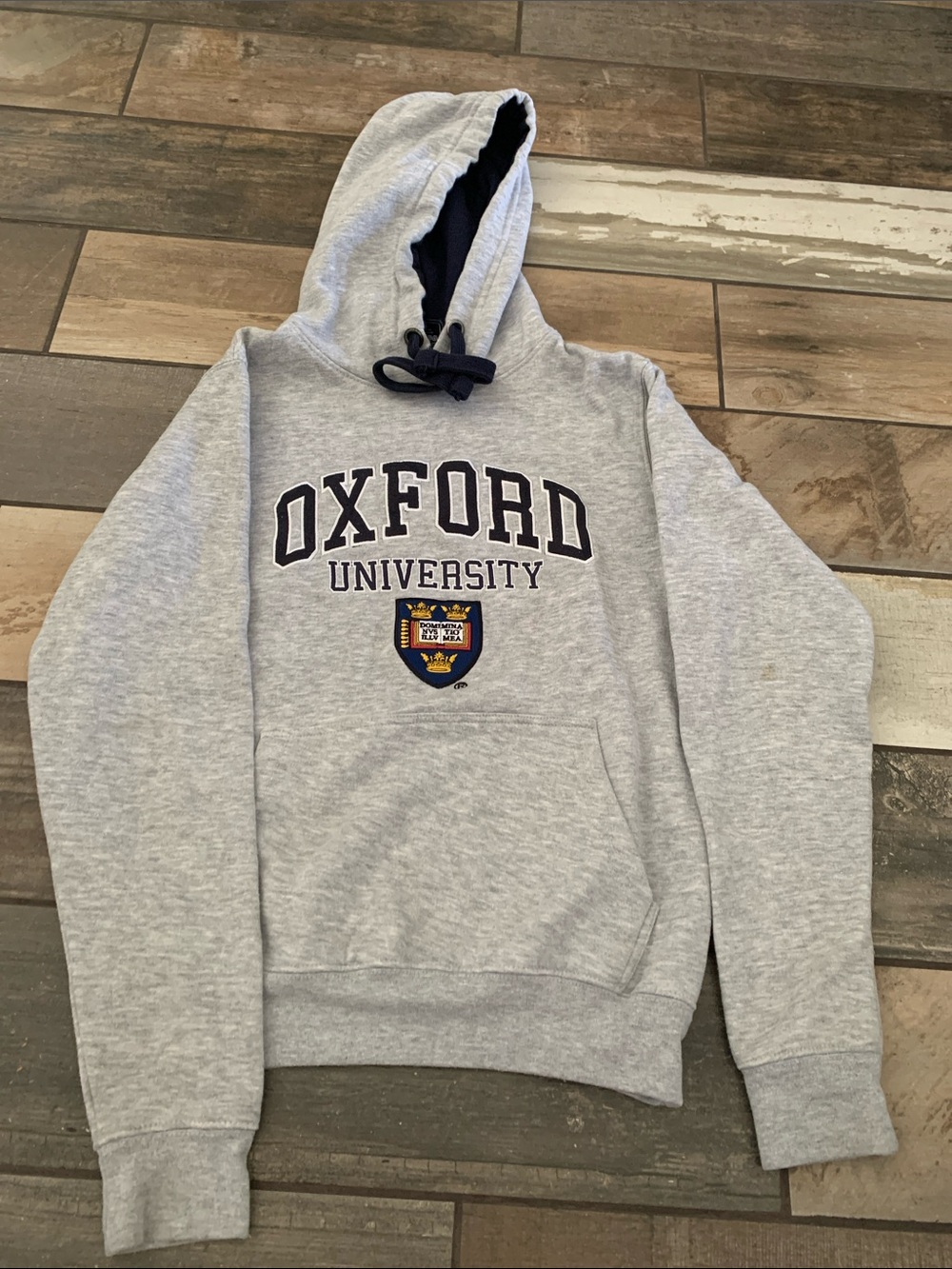 Oxford University Grey Hooded Pullover Sweatshirt